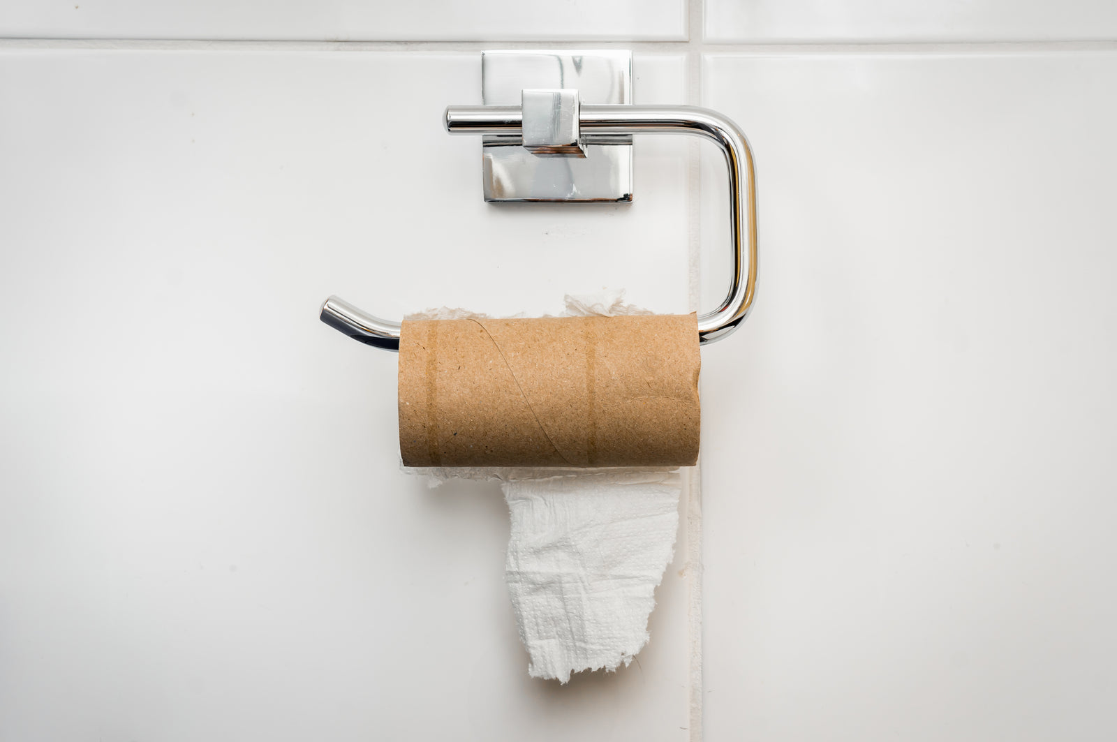 toilet roll on a toilet roll holder