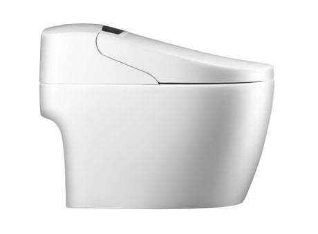 What Is the Difference Between a Smart Toilet Seat and an All-in-One Smart Toilet?