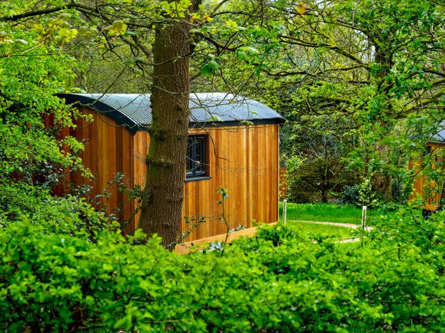 Cedar-clad holiday let cabin with a dark roof among trees and green hedging in the countryside