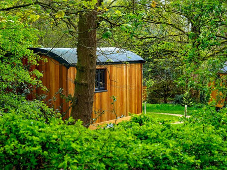 Cedar-clad holiday let cabin with a dark roof among trees and green hedging in the countryside