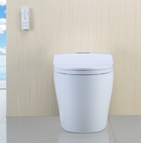 Washloo Premier All-In-One Smart Toilet