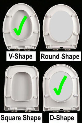 Washloo Ultra DR